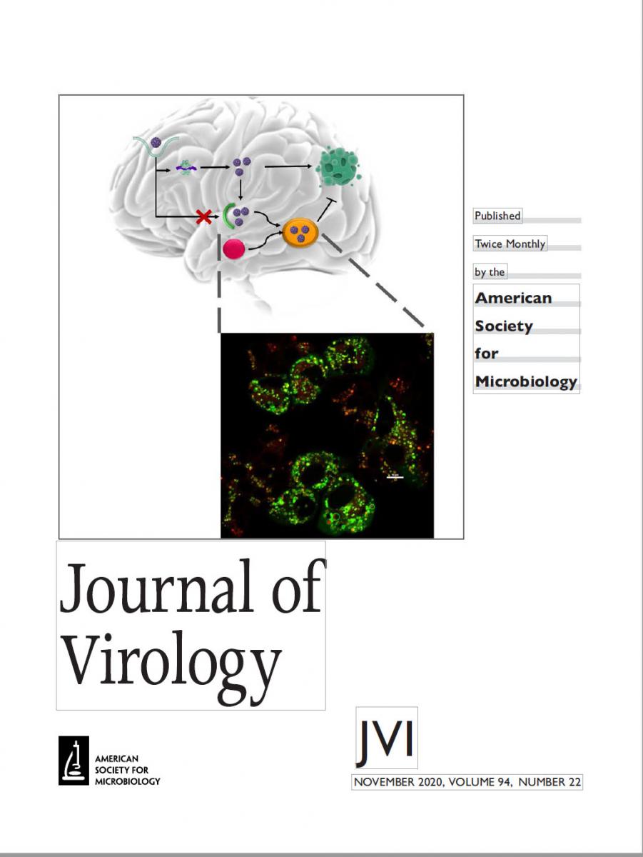 Cover of Journal of Virology