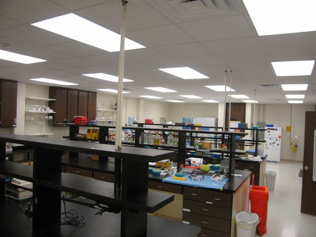 Picture of Laboratory